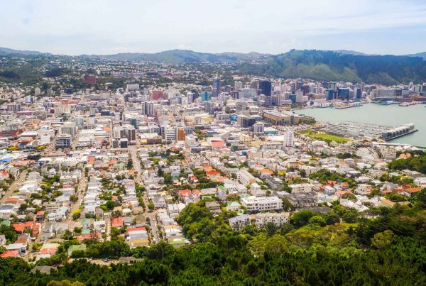 View of residential homes in Wellington from above